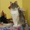 Отзыв от Наиля Покровская